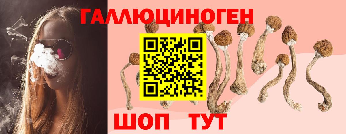 дарнет шоп  Вход с VPN  Миллерово  Псилоцибиновые грибы Psilocybe 